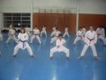 /album/fotos%20exame%20de%20gradua%c3%a7%c3%a3o/karate-25-jpg/